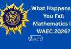 What Happens If You Fail Mathematics in WAEC 2026?