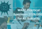 WAEC Practical Specimen 2026 for All Subjects